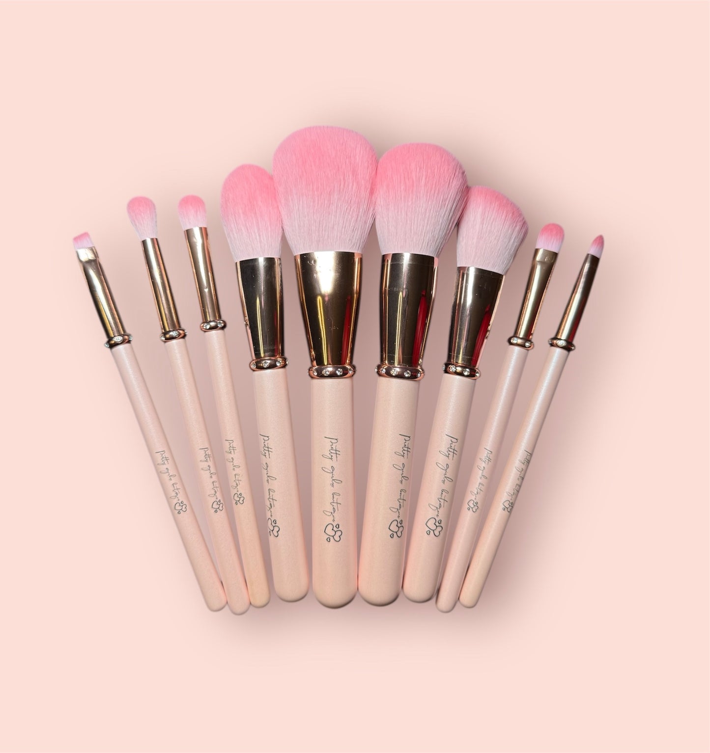 Pink makeup brush set. Bag included 💗